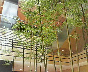 e0017290_20541927.jpg