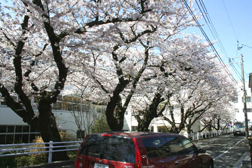 e0054299_16464818.jpg