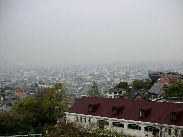 f0083400_9155723.jpg