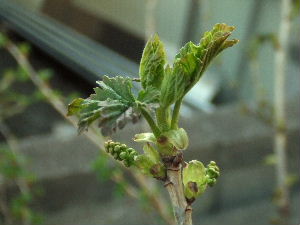 f0041606_21183370.jpg