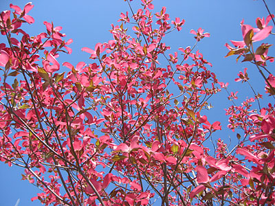 a0041508_2274014.jpg