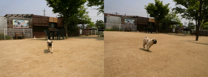 f0128821_22494251.jpg