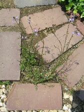 f0079722_21175750.jpg