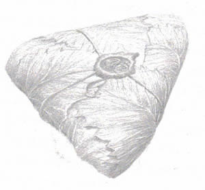 c0013324_1752484.jpg