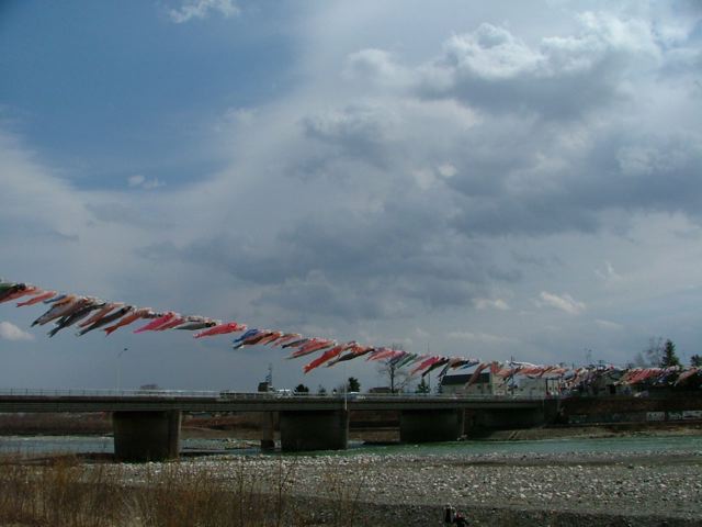 a0057237_19445460.jpg