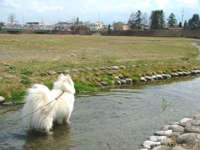 a0057237_2026940.jpg