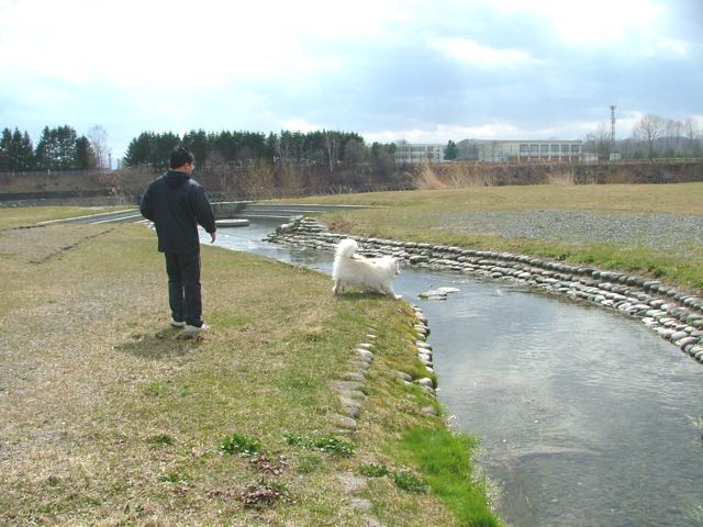 a0057237_2081030.jpg