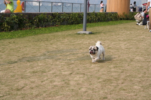 e0018143_17404999.jpg