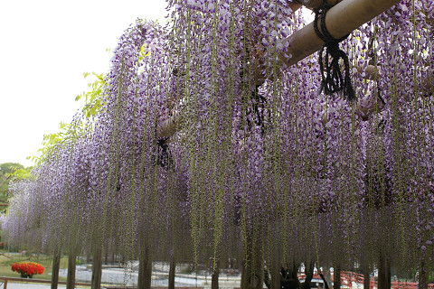 f0094045_305284.jpg