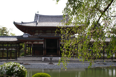 f0094045_7384571.jpg