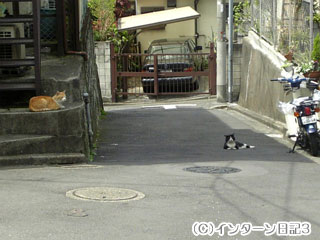 b0061047_928231.jpg