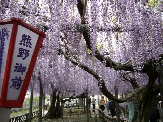 f0091250_16161724.jpg