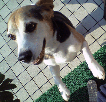 b0005652_2241257.gif