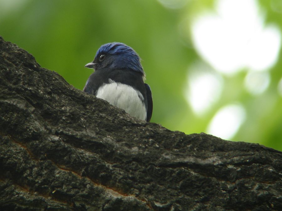 f0103860_2053350.jpg