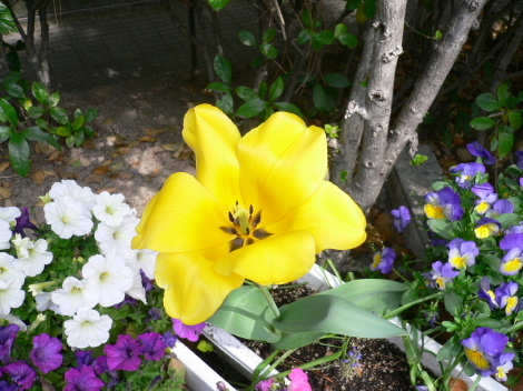 a0063364_11281756.jpg