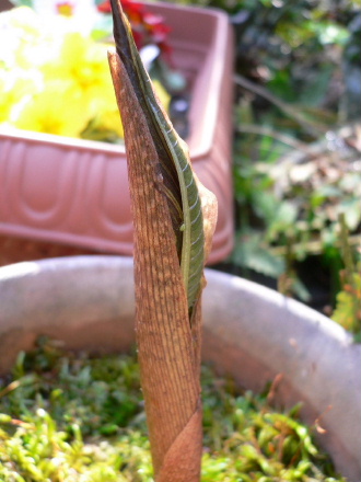 a0063364_1137441.jpg