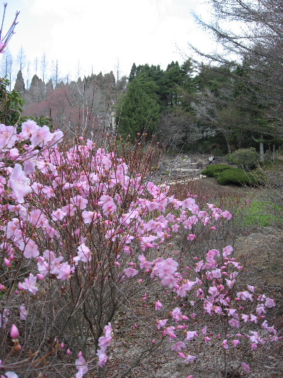 b0055171_0293435.jpg