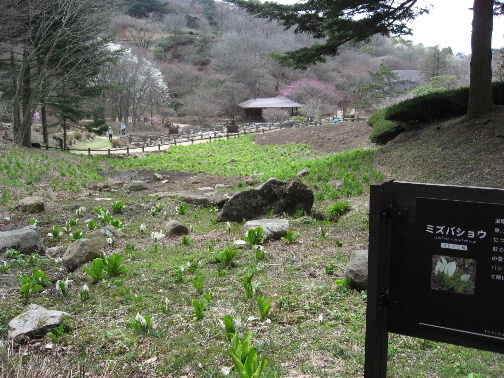 b0055171_034318.jpg