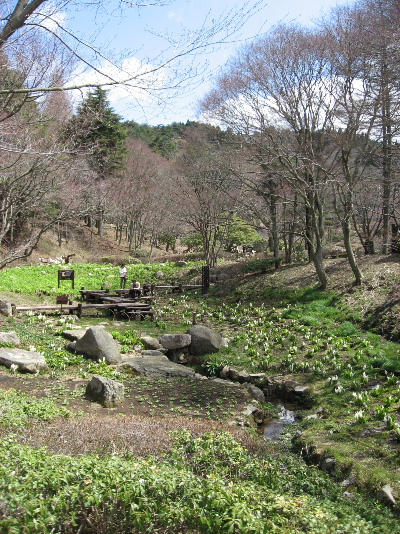b0055171_0354347.jpg
