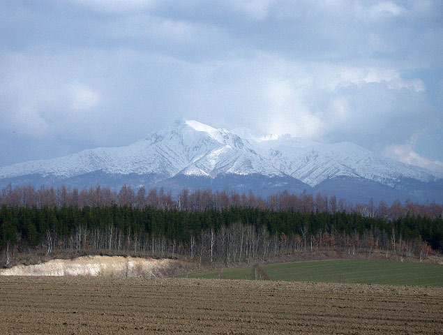 e0100772_22384348.jpg
