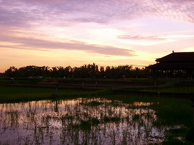 b0101284_23205521.jpg