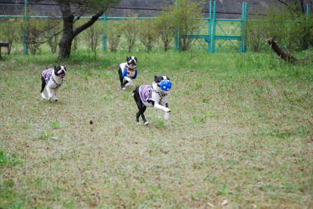 c0092787_17185374.jpg