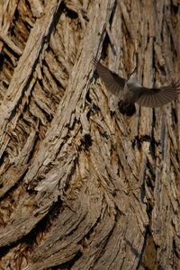 f0127388_21514229.jpg