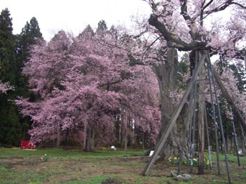b0099994_0303498.jpg
