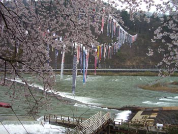 b0099994_0313957.jpg