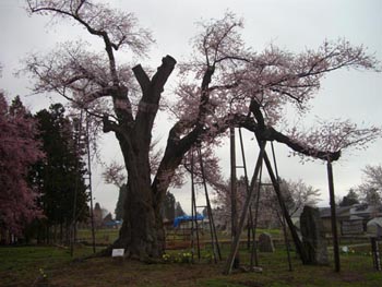 b0099994_03145.jpg