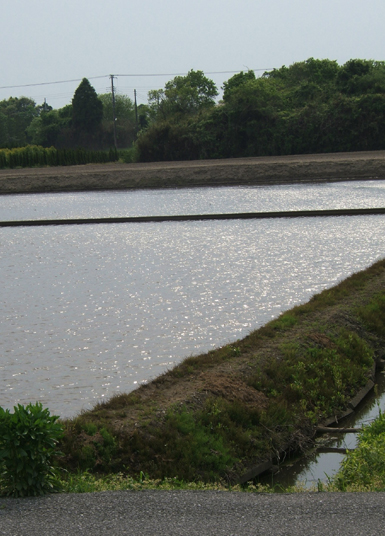 d0100095_21384563.jpg