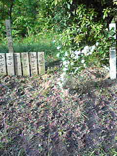 c0103205_212614100.jpg