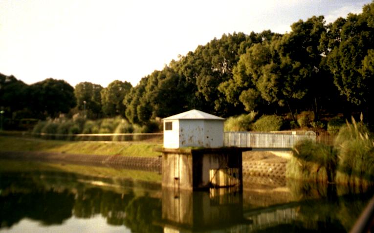 d0071507_1311237.jpg