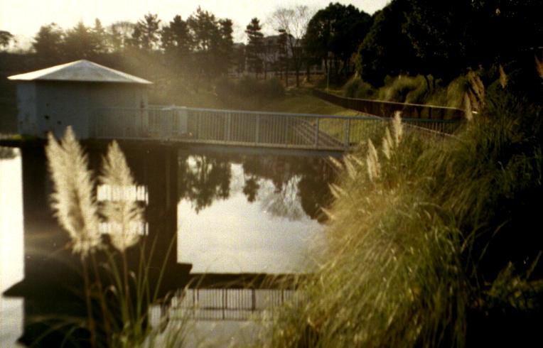 d0071507_131385.jpg