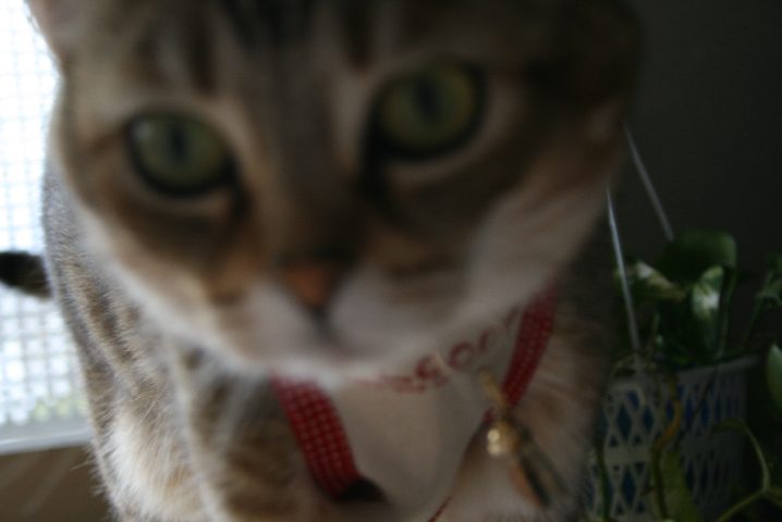 f0055228_16413135.jpg