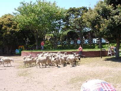 f0002833_22531050.jpg