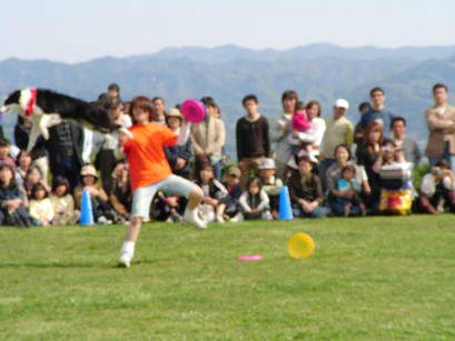 f0002833_22554369.jpg