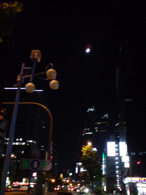 a0013134_2385852.jpg