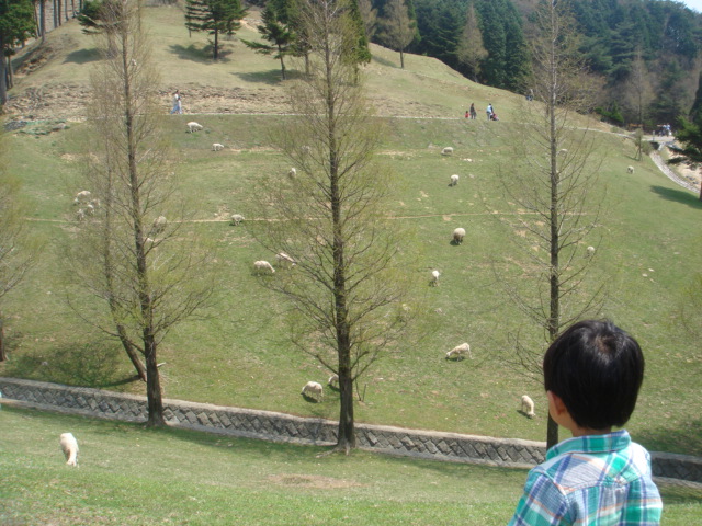 c0100534_2138119.jpg