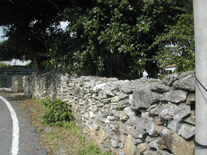 e0062635_1064180.jpg