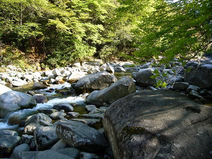 f0108049_22441918.jpg
