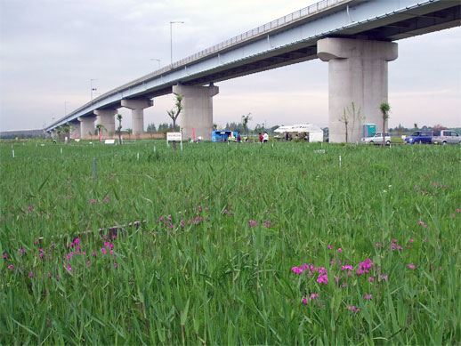 a0068151_11405427.jpg