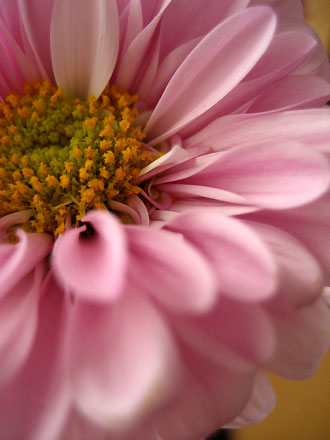 c0003752_2125581.jpg