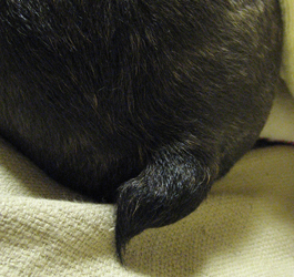 a0103357_21441248.jpg