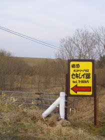 b0086858_1548569.jpg