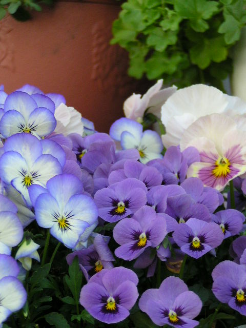 f0074659_21565446.jpg