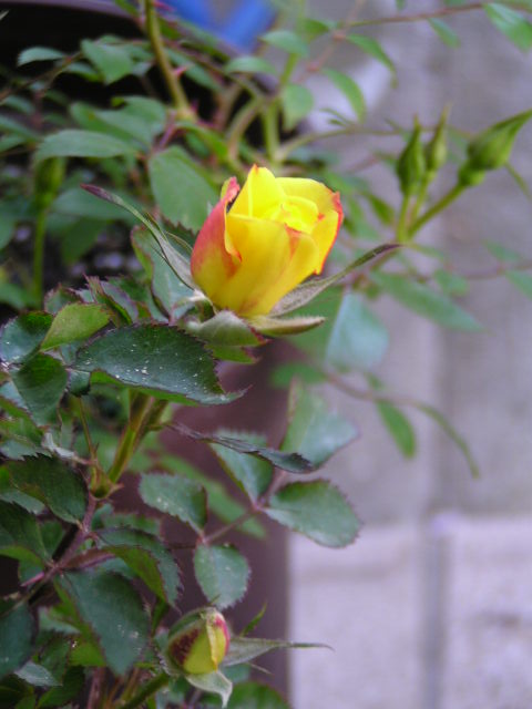 f0074659_22243379.jpg
