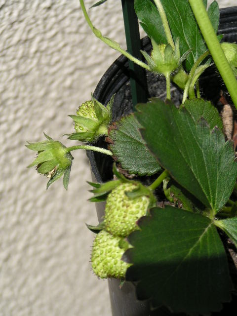 f0074659_2251823.jpg