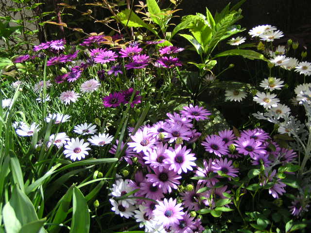 f0074659_228871.jpg
