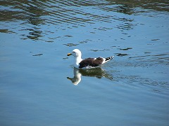 b0020962_0461213.jpg